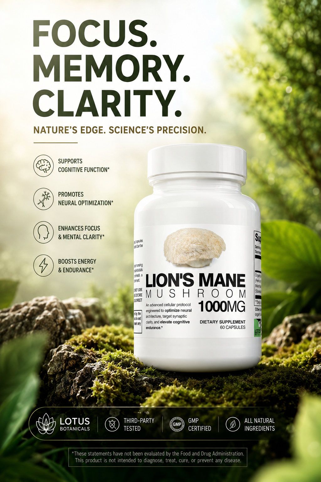 Lion's Mane Mushroom